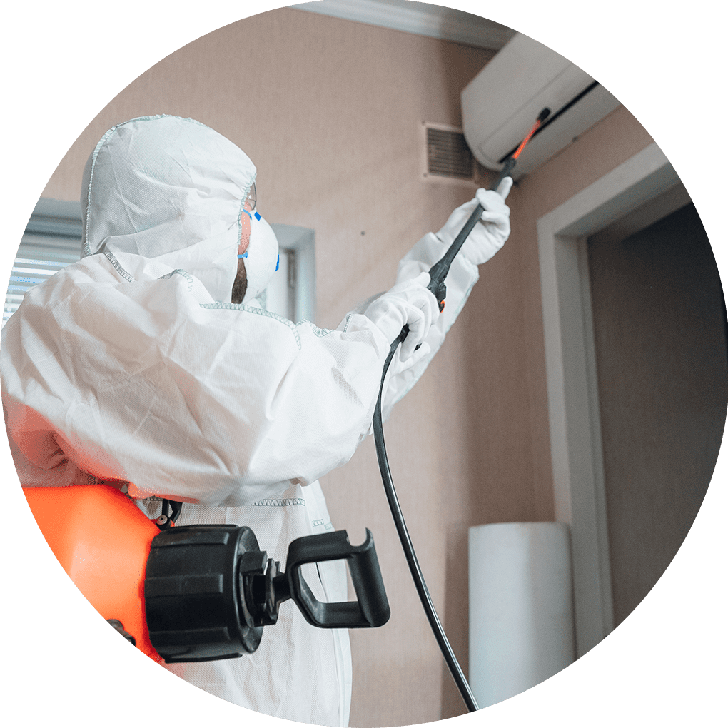 DIMA | Servicio profesional de limpieza a domicilio. Limpieza de pisos, muebles, cancelería, baños, áreas comunes y cristales.